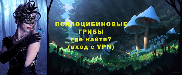 mdpv Бронницы